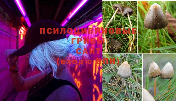 марки lsd Алексин