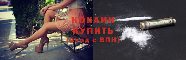 твердый Алексеевка