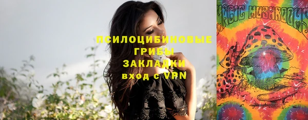 твердый Алексеевка